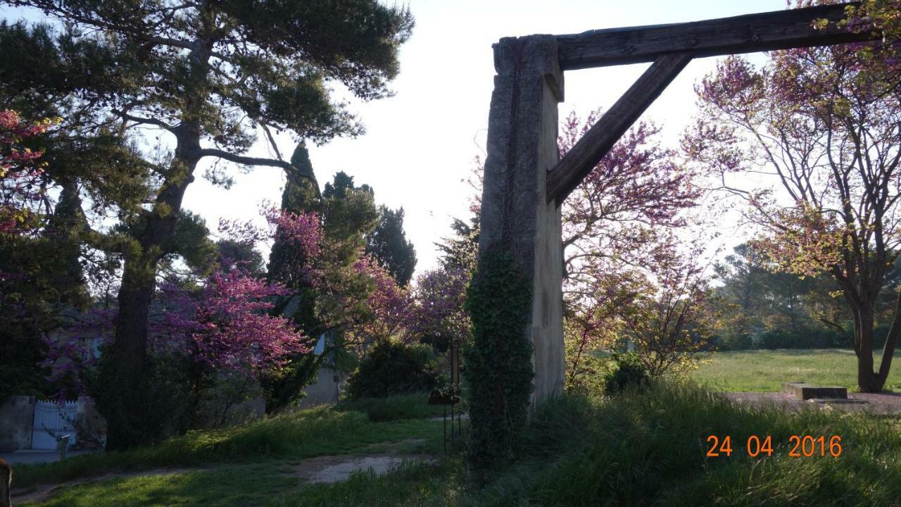 Les Lavandins-Gite Frederic Saint-Remy-de-Provence Exterior photo